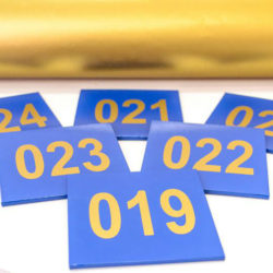 ddc2165f66d1d02a666eacb67a2b33c6