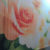 98572ac4b22afa1484b06a66f0c410ea