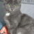 eb7547a86762c17aa417cfb1805730ce