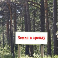 Сдам в аренду земельный участок в Рузино