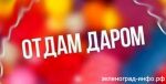 Отдам даром