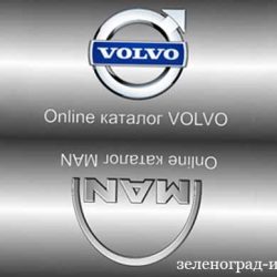 dtrus-zelenograd-info