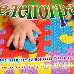 Развивающие занятия Монтессори для детей от 9 мес. до 3 лет.
