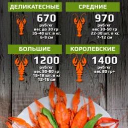 raki_mмм