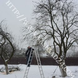 New-Image.jpg-обрезка-4-1-e1482245912195