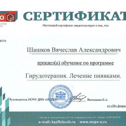 гирудотерапии