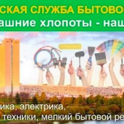 "Зеленоградская служба бытового сервиса"