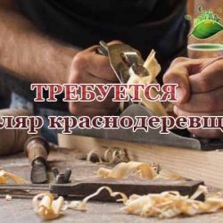 Столяр