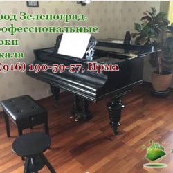 Профессиональные уроки вокала
