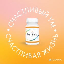 ум = Счастливая Жизнь