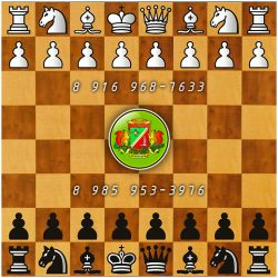 chess 12