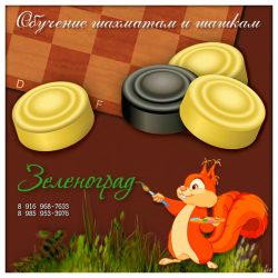 chess 528
