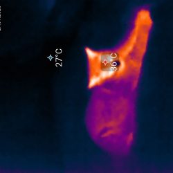 img_thermal_1580137054538