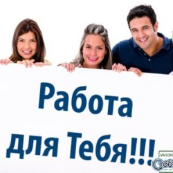 2601129-500-375-1604681954-transparent