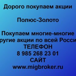 Золото цена акций котировки Полюс Золото фото