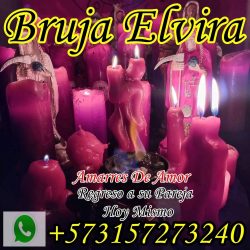 elvira castro WhatsApp Image 2025-12-03 at 8.46.11 AM