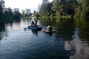 В Зеленограде появился еще один дом для уток
