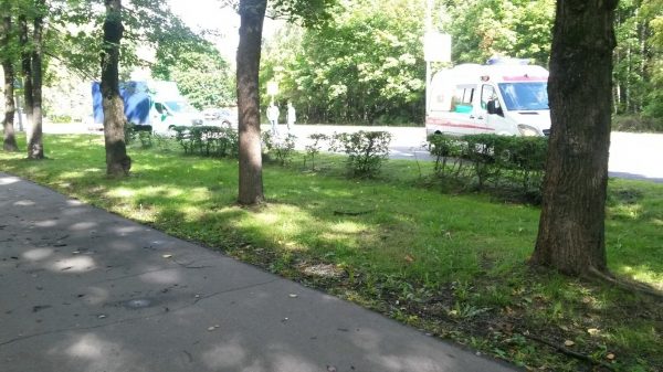 Газель сбила пенсионерку на пешеходном переходе