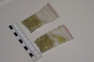27-летний зеленоградец задержан за хранение спайса