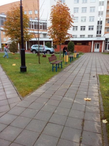Осенняя уборка