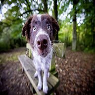 Семен Слепаков: «Спасибо всем, пишущим отзывы на Ютюбе! Особенно про уши и национальность...»