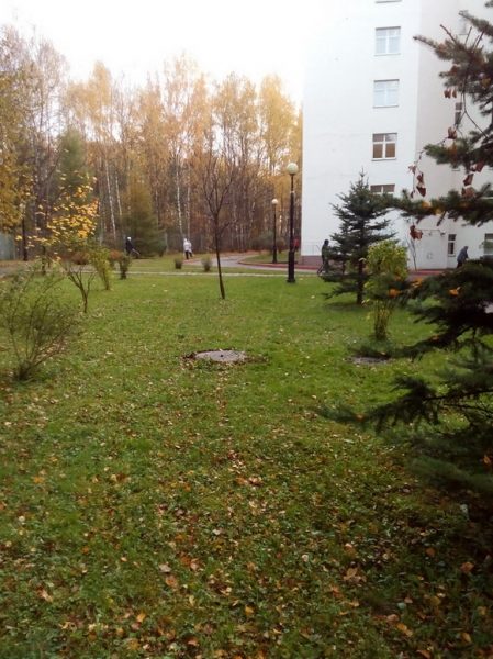 Осенняя уборка