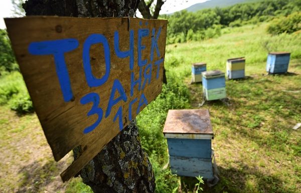 Медведев считает полезным закон о предоставлении гектара земли на Дальнем Востоке