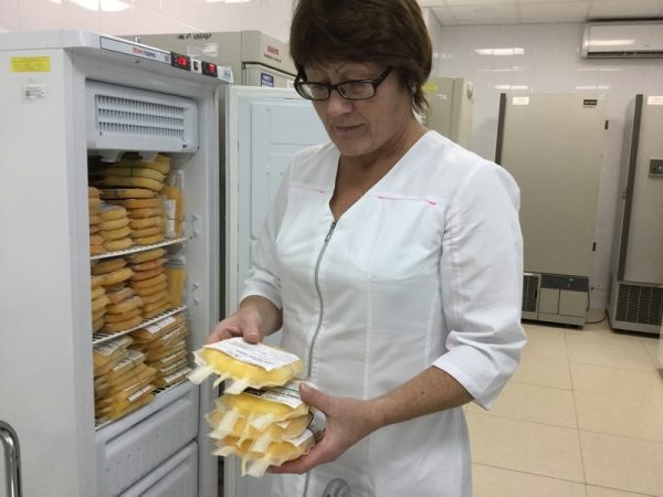 Донорская суббота в ГКБ №3