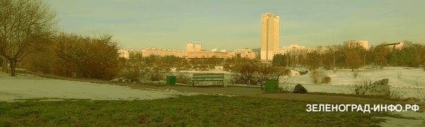 после ледяного дождя в Зеленограде