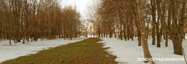 после ледяного дождя в Зеленограде