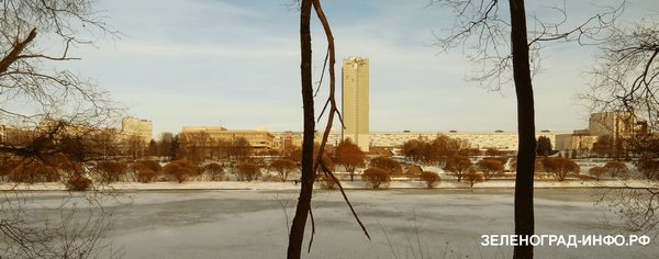 после ледяного дождя в Зеленограде