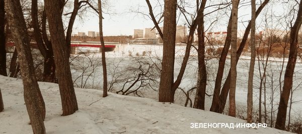 после ледяного дождя в Зеленограде