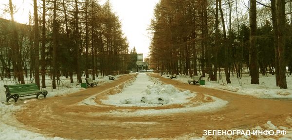 после ледяного дождя в Зеленограде
