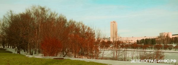после ледяного дождя в Зеленограде