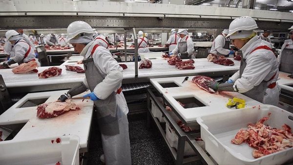 «Мираторг» выходит в онлайн