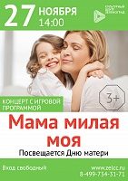 День матери в Зеленограде: культурно и спортивно 