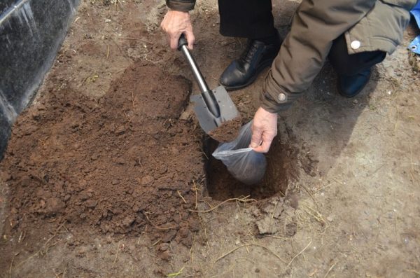 Зеленоград передаст Омской области капсулу с землей Монумента Славы