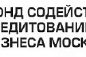 
		                    Рабочая встреча ДНПП с московскими фондами		                