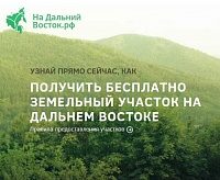В зеленоградских центрах госуслуг можно оформить «дальневосточный гектар»
