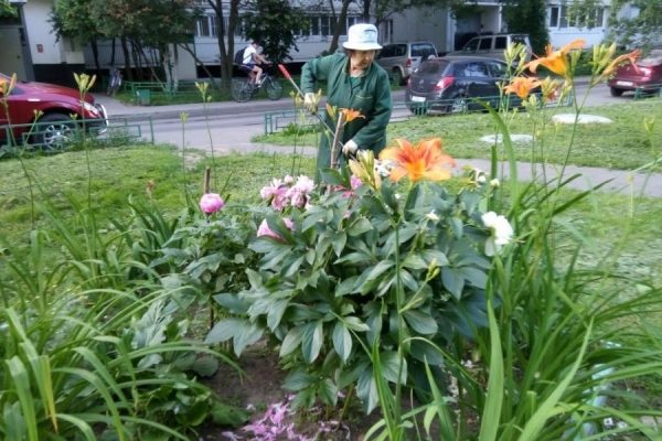 В районе Старое Крюково расконсервируют домовой водопровод для ухода за цветниками