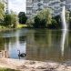 Подготовлена концепция реконструкции Быкова болото
