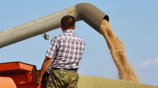 Турции ответили за пшеницу
