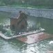 Подготовлена концепция реконструкции Быкова болото