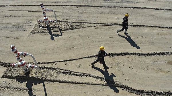 "Роснефть" показала ВНХК правительству