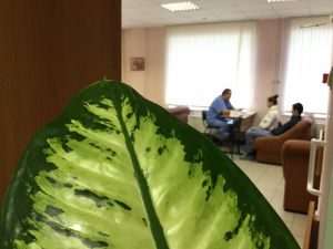 В роддоме прошел День открытых дверей