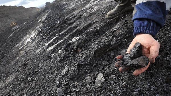 Дмитрий Босов досыплет цинка в уголь