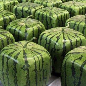 Квадратный арбуз и прямые яйца: самые удивительные продуктовые лайфхаки