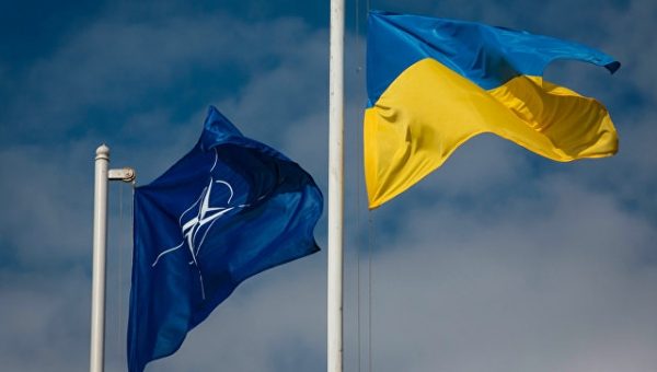 Генсек НАТО: Украина сама должна решить, хочет ли она вступать в альянс