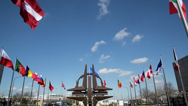 Эксперт объяснил, что стоит за критикой Трампа в адрес НАТО