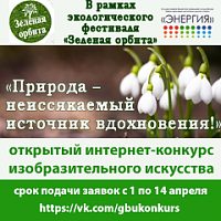 Зеленоградский центр «Энергия» проводит интернет-конкурс «Природа – неиссякаемый источник вдохновения»